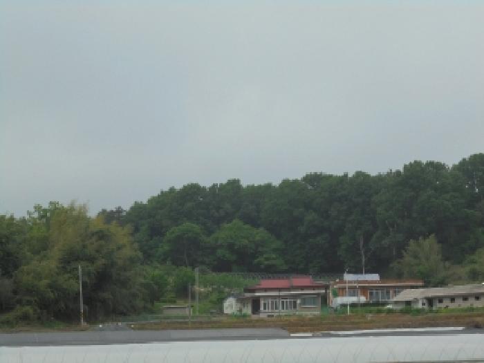 2025타경20326 임야 · 충청남도 부여군 장암면