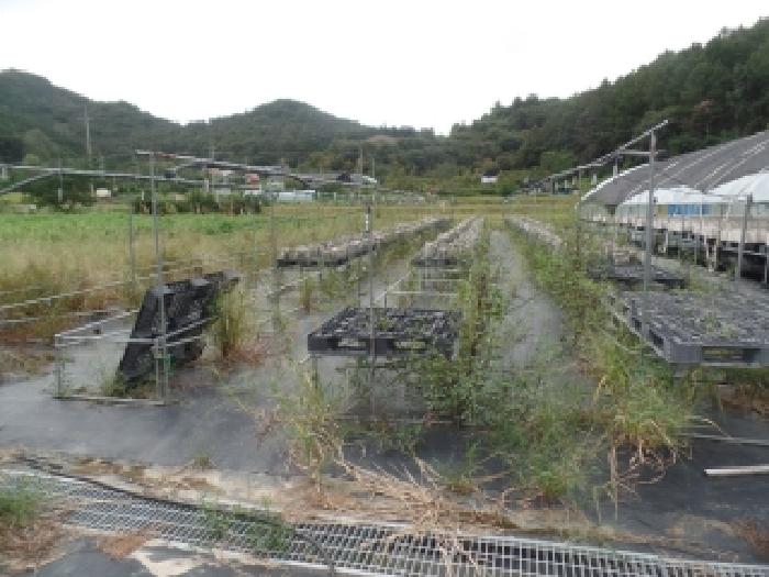 2025타경20406 전답 · 충청남도 논산시 양촌면 도평리 176
