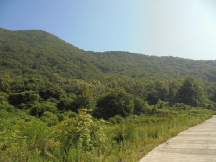 2025타경20408 임야 · 충청남도 부여군 외산면
