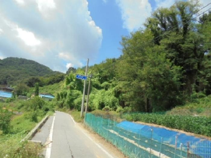 2025타경20457 대지 · 충청남도 논산시 상월면 산성리 323-6