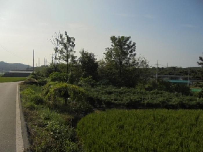 2025타경20464 임야 · 충청남도 부여군 석성면