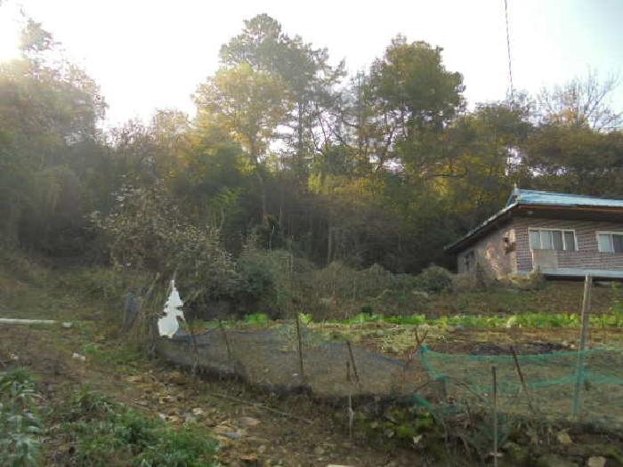 2025타경20511 대지 · 충청남도 부여군 임천면 가신리 360