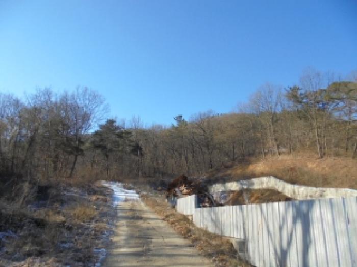 2025타경20555 임야 · 충청남도 부여군 부여읍 능산리 산49-11