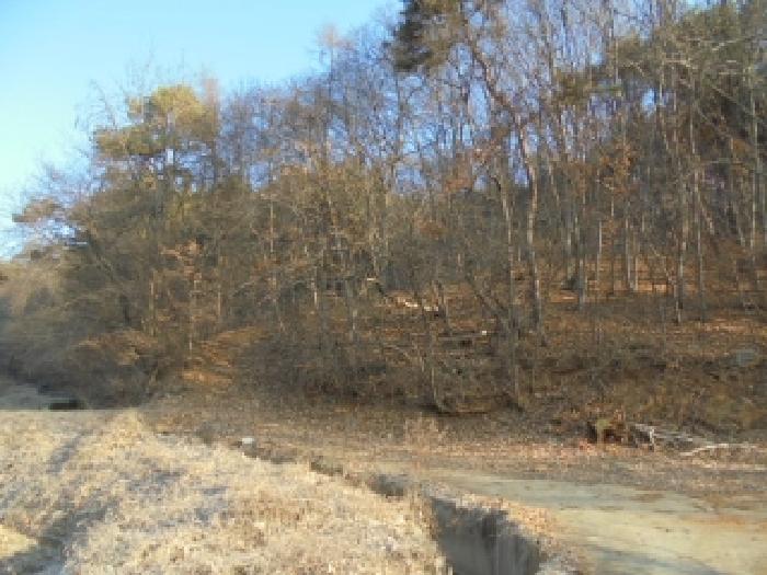 2025타경20558 임야 · 충청남도 부여군 충화면