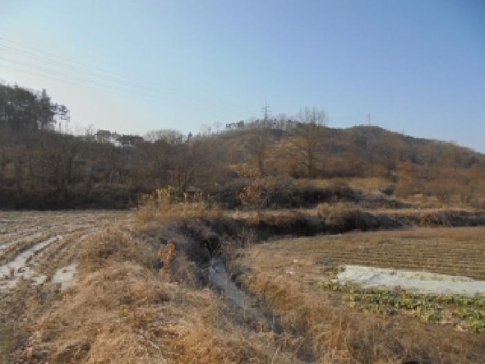 2025타경20581 임야 · 충청남도 부여군 장암면 상황리 산60-1