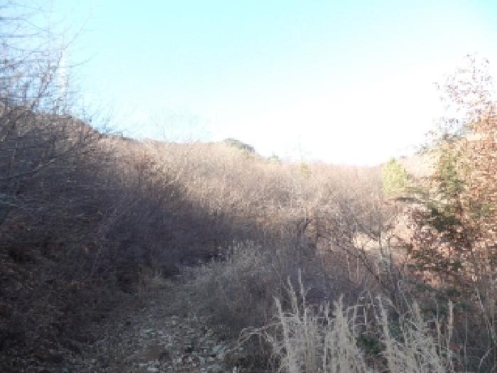 2025타경396 임야 · 충청남도 논산시 벌곡면 한삼천리 395-6