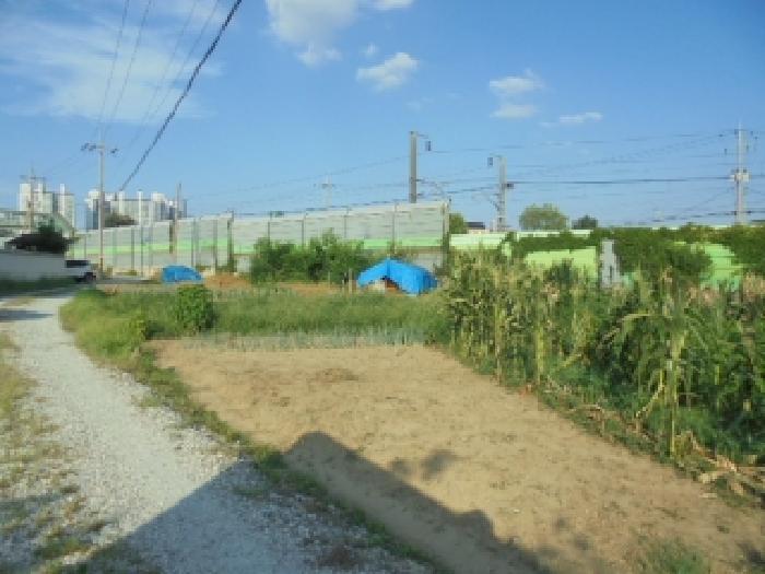 2025타경454 전답 · 충청남도 논산시 부창동