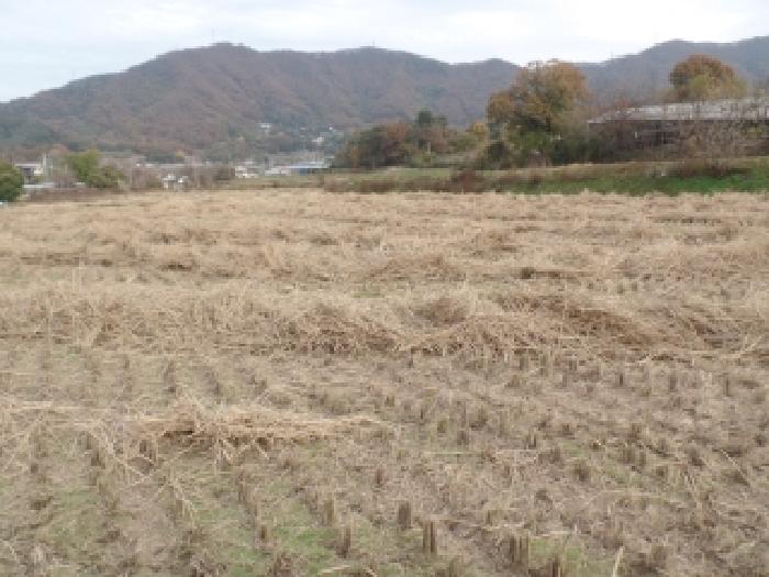 2025타경471 전답 · 충청남도 논산시 연산면
