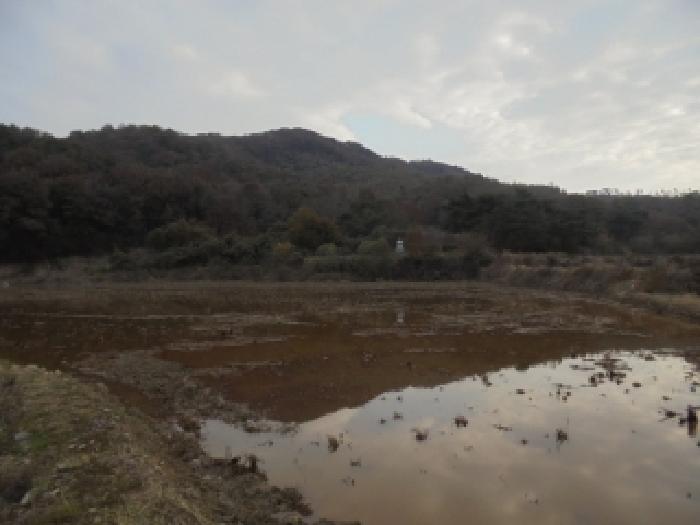 2025타경490 전답 · 충청남도 논산시 상월면 한천리 92-1
