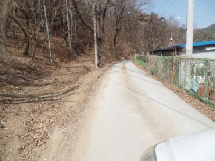2025타경509 임야 · 충청남도 논산시 양촌면 모촌리 산39-14