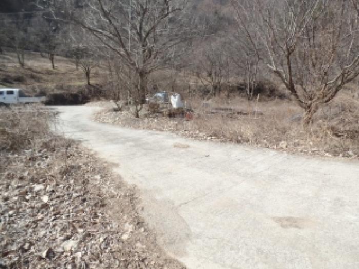 2025타경514 전답 · 충청남도 논산시 양촌면 오산리 515