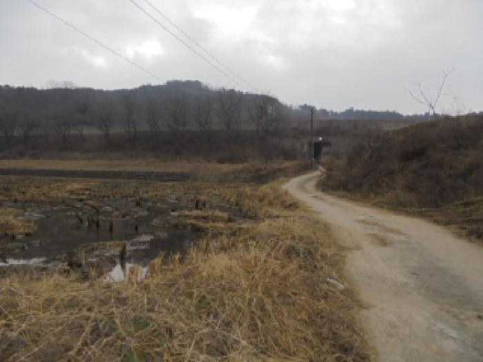2025타경516 임야 · 충청남도 부여군 은산면 경둔리 44-4