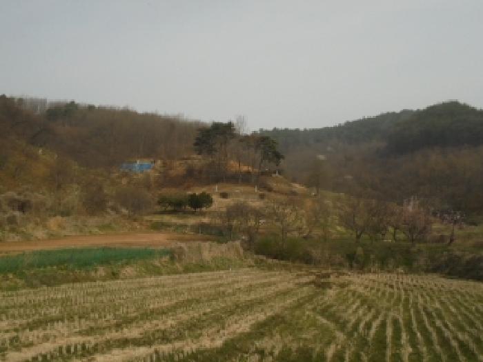 2026타경20090 임야 · 충청남도 부여군 규암면 함양리 산4-1