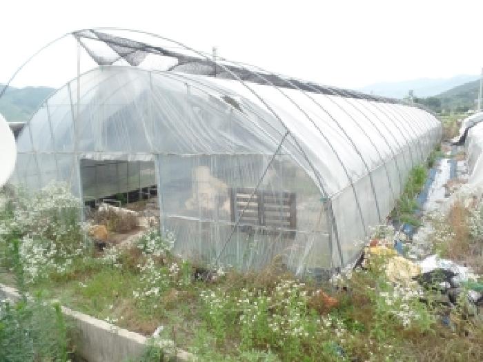2026타경20095 전답 · 충청남도 논산시 양촌면 도평리 206-1