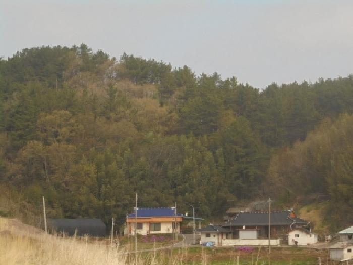 2026타경20097 임야 · 충청남도 부여군 양화면 내성리 산63