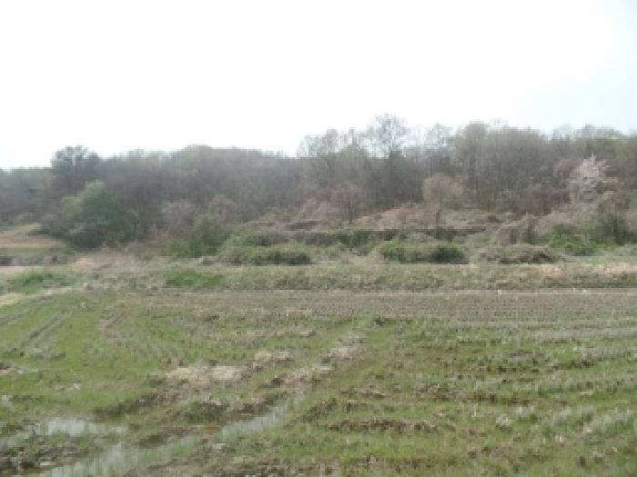 2026타경20110 · 충청남도 논산시 연산면 고정리 226-1