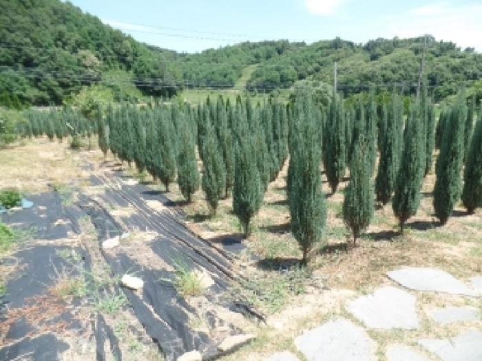 2026타경36 · 충청남도 논산시 가야곡면 양촌리 324-2