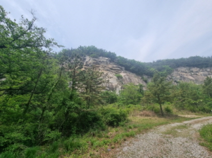 2023타경2250 임야 · 충청남도 아산시 영인면