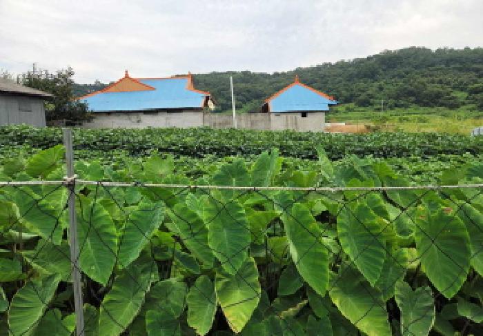 2025타경12282 · 충청남도 아산시 초사동 616-1