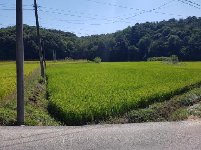 2025타경12321 · 충청남도 천안시 동남구 자오곡길
