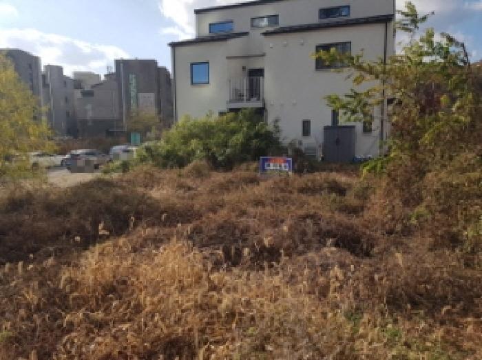 2025타경12693 대지 · 충청남도 천안시 서북구 불당동