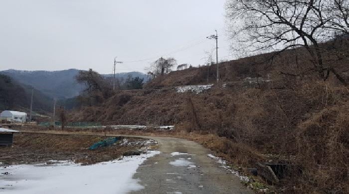 2025타경12816 토지 · 충청남도 천안시 동남구 병천면 봉항리 194-1
