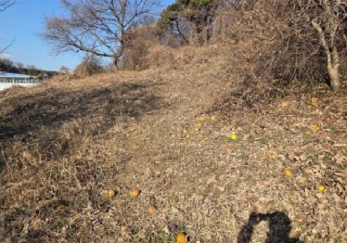 2025타경12878 · 충청남도 아산시 인주면 해암리 349-6