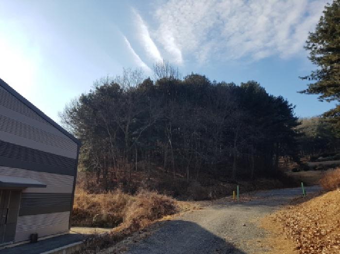 2025타경12991 임야 · 충청남도 천안시 동남구 목천읍 운전리 산62