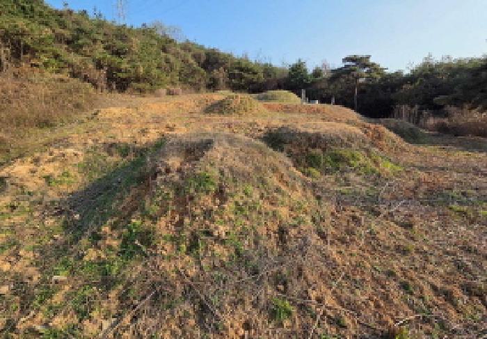 2025타경755 · 충청남도 아산시 신창면