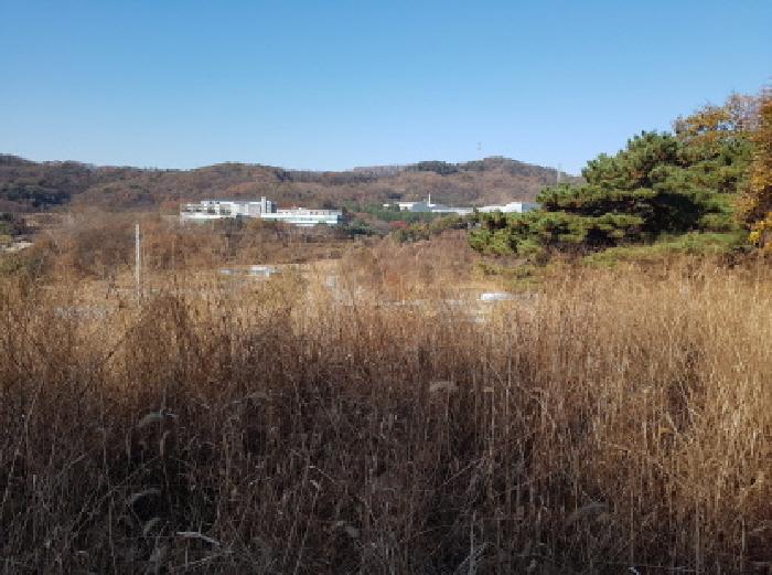 2025타경772 대지 · 충청남도 천안시 동남구 목천읍