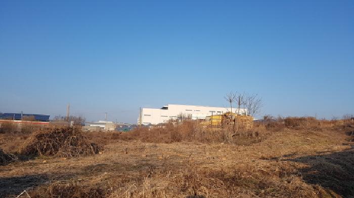 2025타경820 · 충청남도 천안시 서북구 입장면