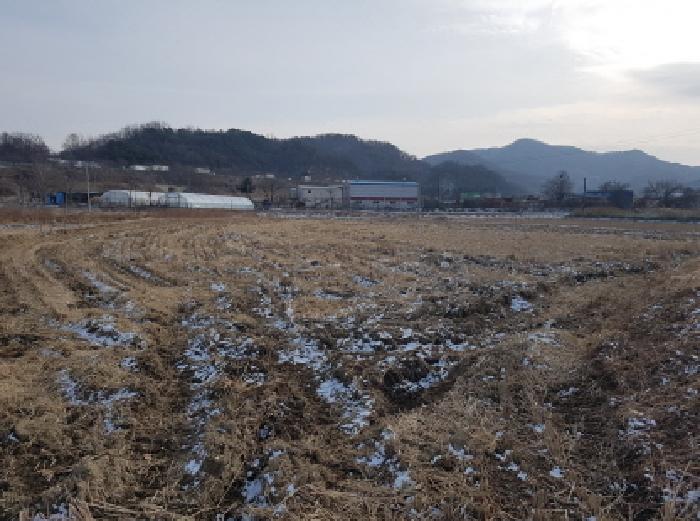 2026타경10006 전답 · 충청남도 천안시 동남구 광덕면 신흥리 181-1
