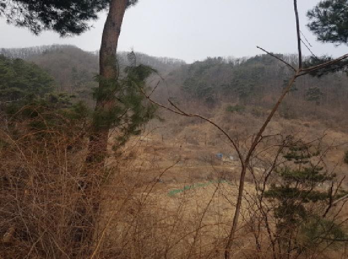 2026타경10113 임야 · 충청남도 천안시 동남구 광덕면 광덕리 산303-1