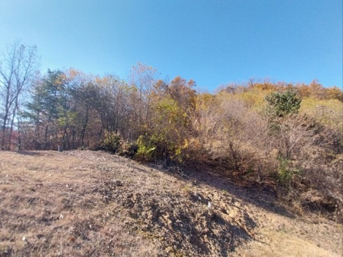 2024타경1257 대지 · 충청남도 공주시 계룡면 중장리 404-4