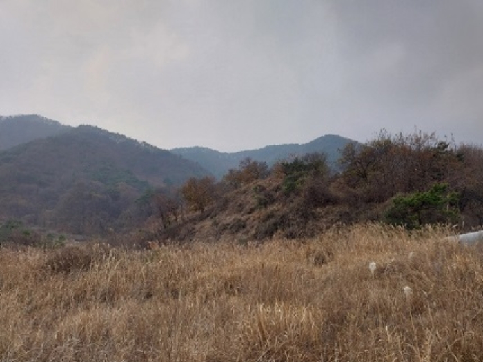 2024타경1332 임야 · 충청남도 공주시 사곡면