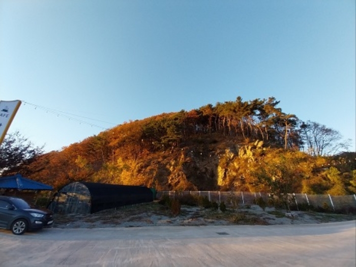 2024타경1349 임야 · 충청남도 공주시 무릉동 산79-3