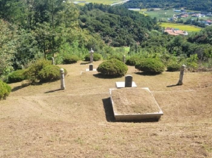 2025타경104 임야 · 충청남도 공주시 유구읍 만천리 산58-3