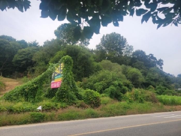 2025타경109 임야 · 충청남도 공주시 계룡면 봉명리 산15