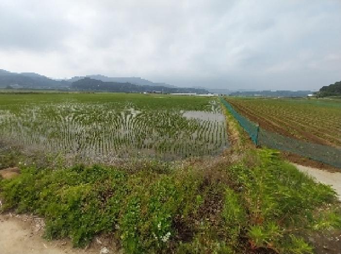 2025타경20263 전답 · 충청남도 청양군 비봉면
