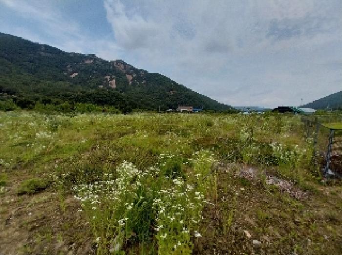 2025타경20288 · 충청남도 공주시 반포면 온천리 282