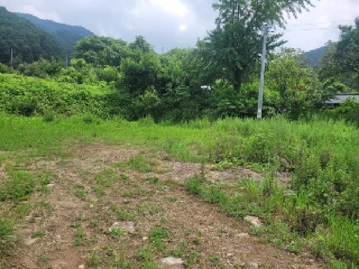 2025타경20323 · 충청남도 공주시 신풍면 영정리 36