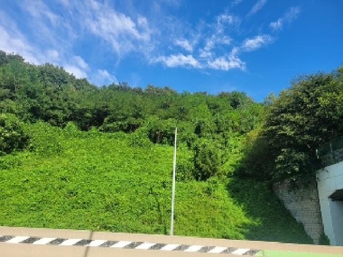 2025타경20356 임야 · 충청남도 공주시 의당면 중흥리 산55-6