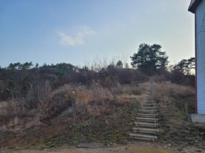 2025타경20416 임야 · 충청남도 공주시 신풍면 산정리 산66-1