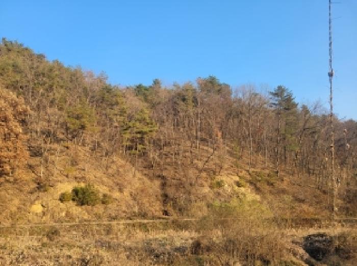 2025타경20418 임야 · 충청남도 공주시 사곡면 화월리 산18-7
