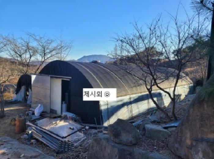2025타경20419 임야 · 충청남도 청양군 화성면 화강리 563-2