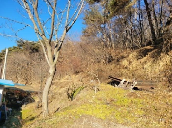 2025타경20433 임야 · 충청남도 공주시 이인면 만수리 산36