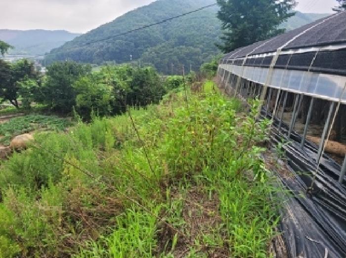 2025타경80 대지 · 충청남도 청양군 비봉면