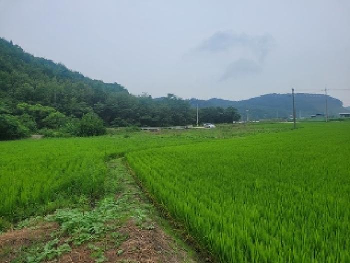 2025타경87 전답 · 충청남도 공주시 오곡동