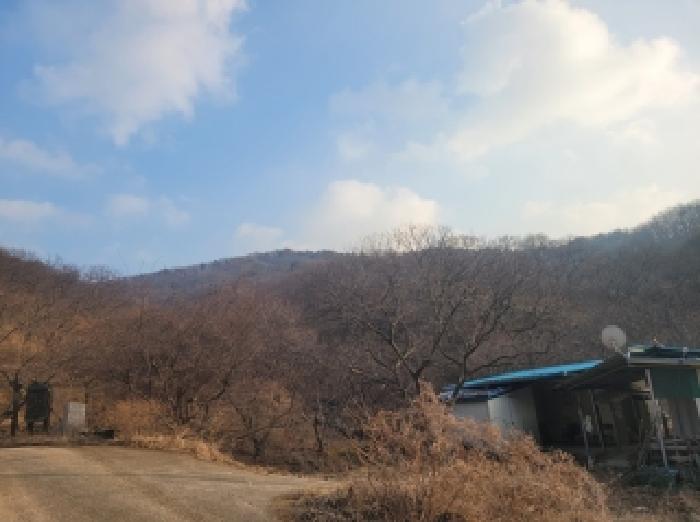 2026타경20032 임야 · 충청남도 공주시 사곡면 월가리 산14-1