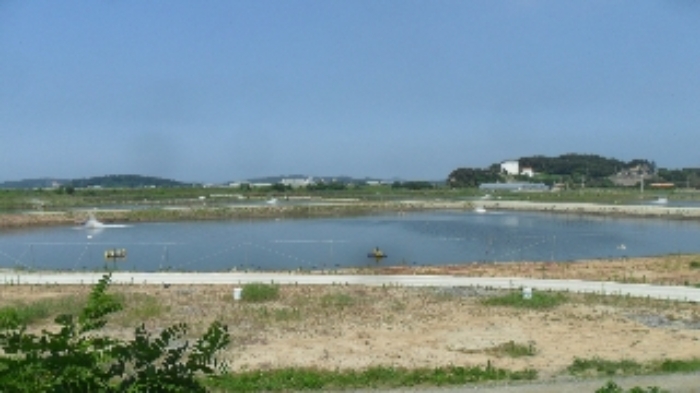 2023타경54035 · 충청남도 태안군 남면
